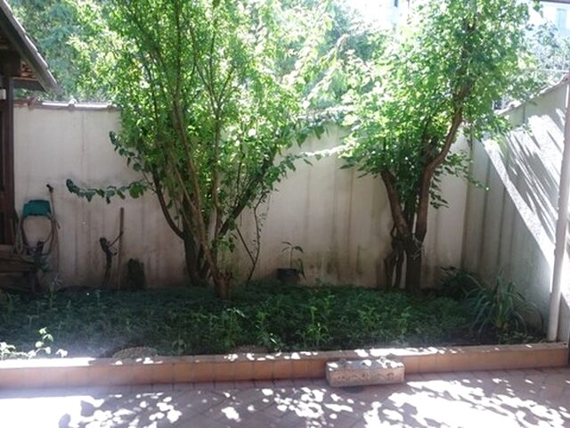 Imagem 1: Sobrado 244 M² com 4 Quartos em Vila Floresta - Santo André - Sp