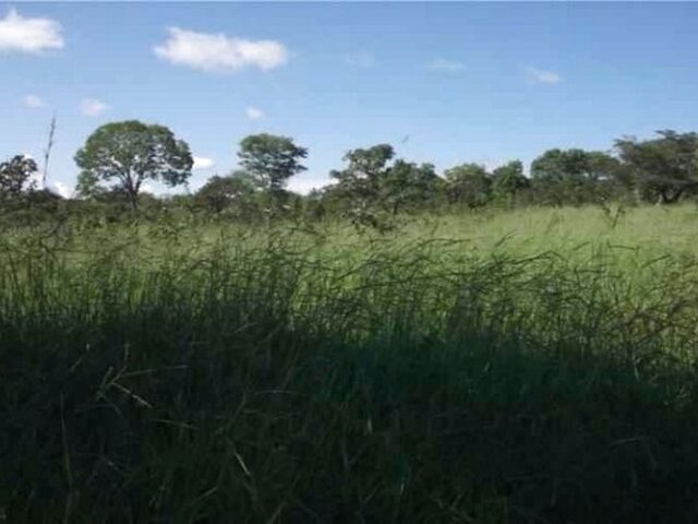 Imagem 8: Chácara 1.00M² para Morar Ou Investir , Jaboticatubas (Temos Varias Opções)