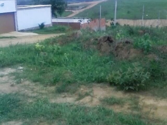 Imagem 4: .