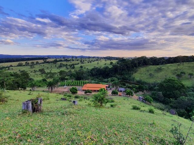 Imagem 3: Excelente Chácara de 1.5 Alqueires - 6 Km de Nerópolis
