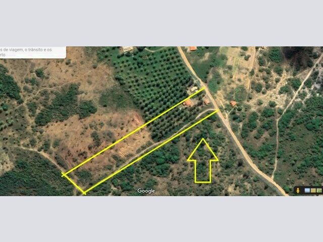 Imagem: Chácara 10.306 M² em Conde Bahia