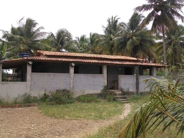 Imagem 3: Chácara 10.306 M² em Conde Bahia