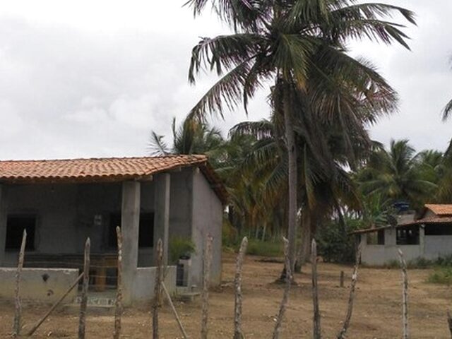 Imagem 8: Chácara 10.306 M² em Conde Bahia