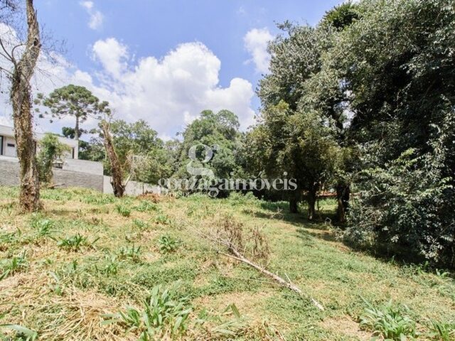 Imagem 11: Curitiba - Terreno Padrão - Umbará