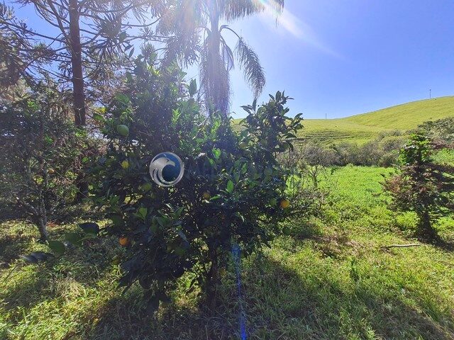 Imagem 7: Casa de Campo Próximo a São Lourenço