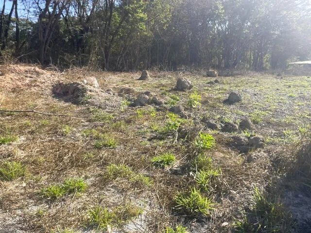 Imagem 6: Caio Martins - Lote de 1360M²