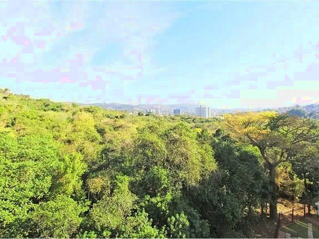 Imagem 6: Apartamento em Jardim Carvalho