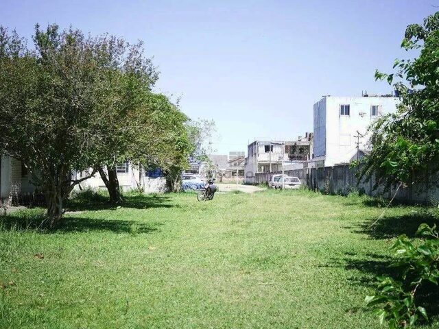 Imagem 3: Casa 1 Quarto para Aluguel Pelotas