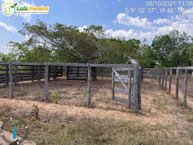 Imagem: Fazenda À Venda em Lizarda - To - 2.000