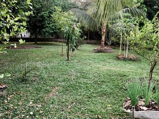 Imagem 9: Venda de Chácara
