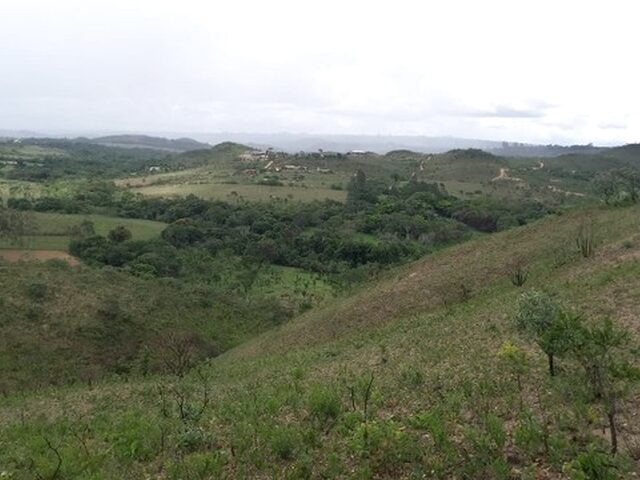 Imagem 10: Oferta Imperdível - Excelente Chácara de 78 Mil/M² com Acesso Ao Rio São Bartolomeu