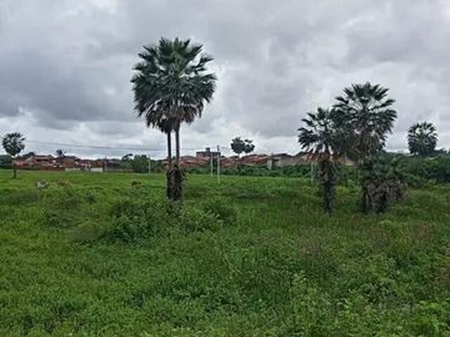 Imagem 12: Loteamento Nova Jurema Pronto para Construir a Sua Casa Perto de Tudo