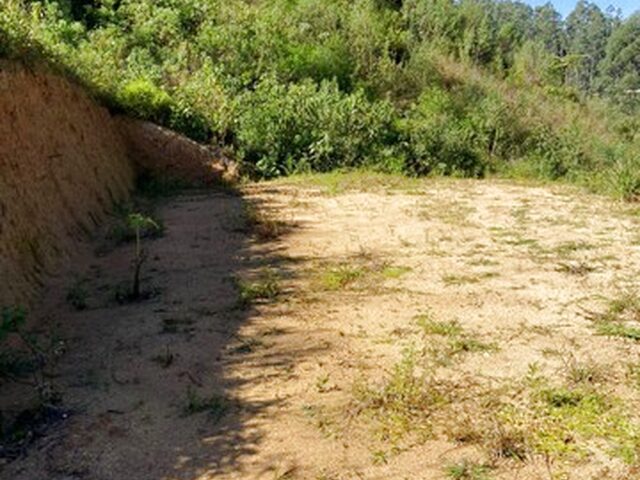 Imagem 6: Terreno em Anitápolis - 3Hectares