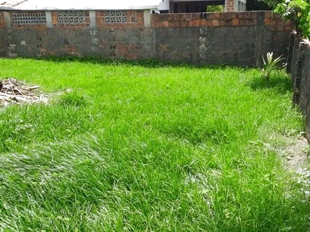 Imagem 15: Casas e Prives Prontos para Morar