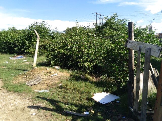 Imagem: Terreno Vila Tamandare