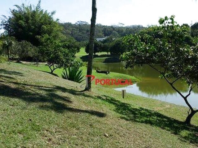 Imagem 10: .