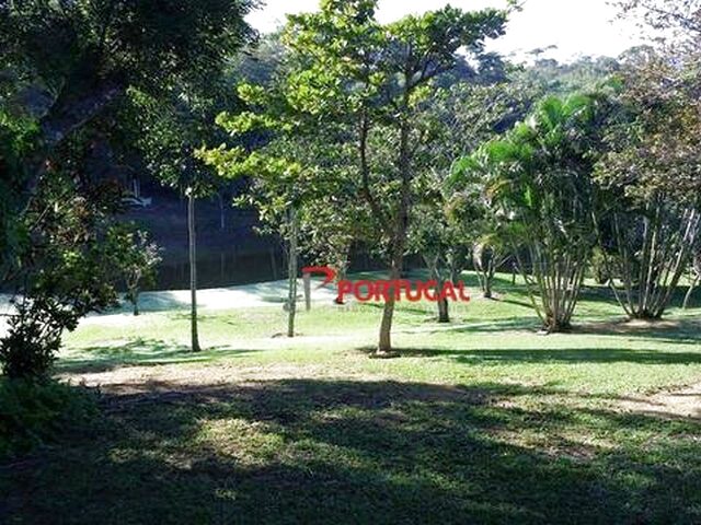 Imagem 7: .