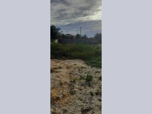 Imagem 6: Vende-Se Terreno em Luis Correia