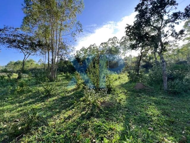 Imagem 5: Cláudio - Terreno Padrão - Zona Rural