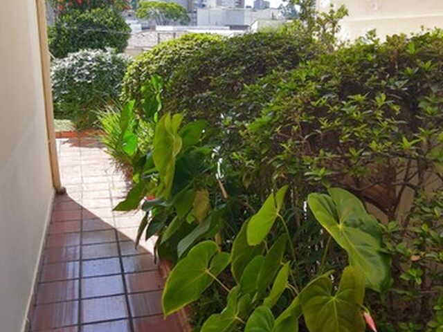 Imagem 4: Casa de 234M² em Centro - Santo André - Sp