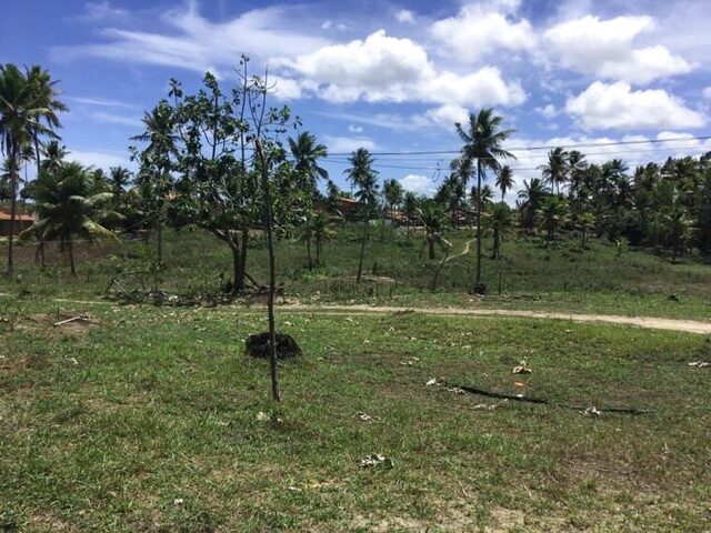 Imagem: O terreno possui 80.000m² de Área e está localizado em