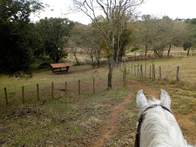 Imagem 8: Fazenda para Criação de Gado em Minas!
