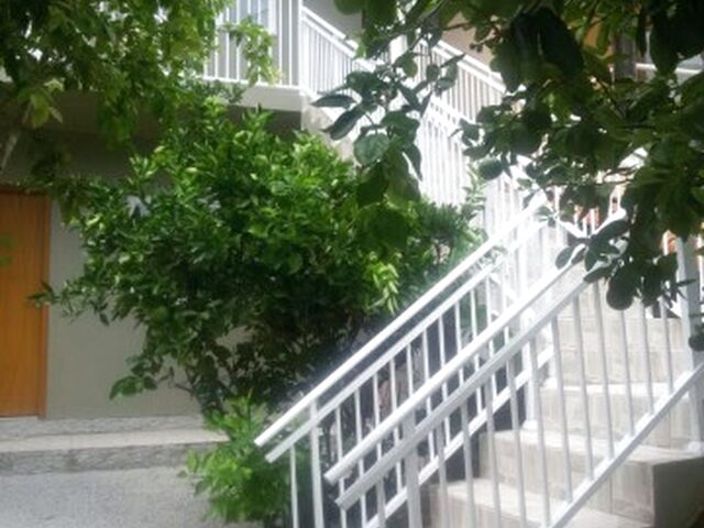Imagem: Alugo Casa 1 Quarto, Bairro Saco Grande