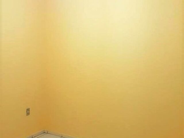 Imagem 7: Apartamento no Quintino Cunha