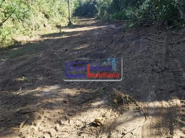 Imagem 2: Você e Um Campo Inteiro de Possibilidades - Fazendinhas 20.000 M² em Mateus Leme/Mg!