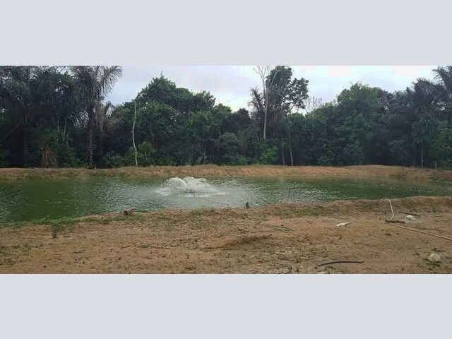 Imagem 7: Sítio 250 Mil ( Aceito Proposta