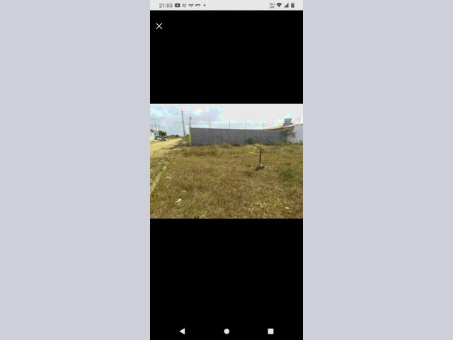 Imagem 5: Terreno Penedo Al. 8X20 (Nascente