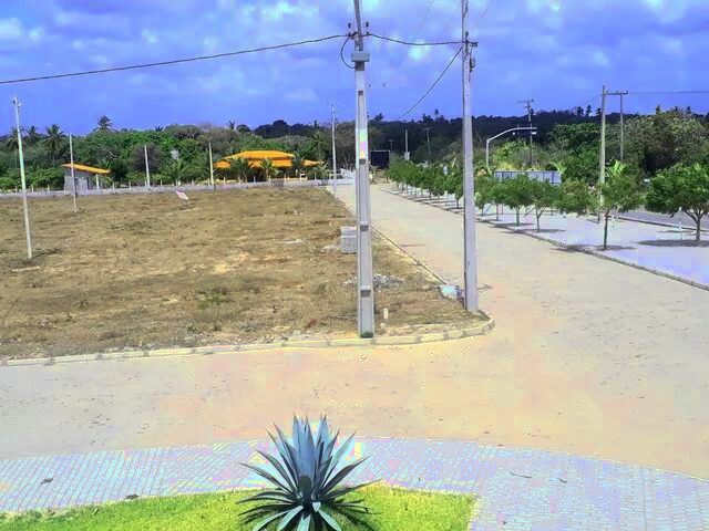 Imagem 8: Lotes de 6X25, Prox a Praia da Barra Nova. Neste Momento