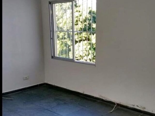 Imagem 11: .