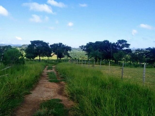 Imagem 7: Chácara de 1000 M² em Bonfim - Aroucas