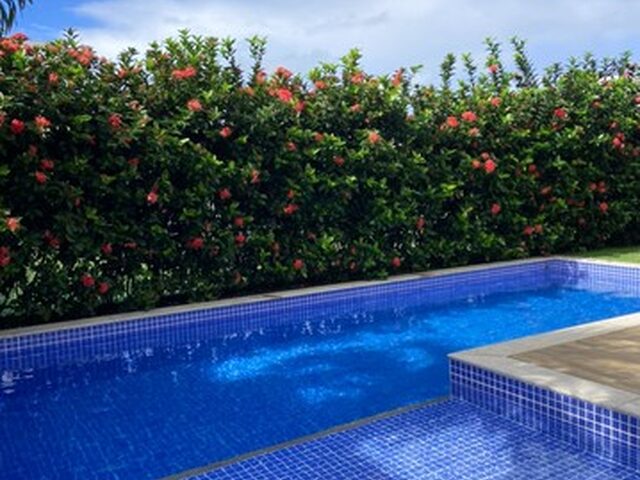 Imagem 6: Casa para Alugar com 5 Suites em Guarajuba !