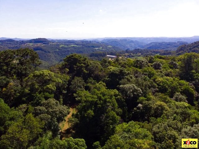 Imagem 9: Sítio / Chácara para Venda em Nova Petrópolis, Linha Imperial