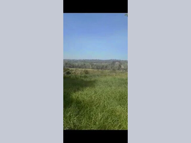 Imagem 8: Fazenda - Bairro Gleba Iriri