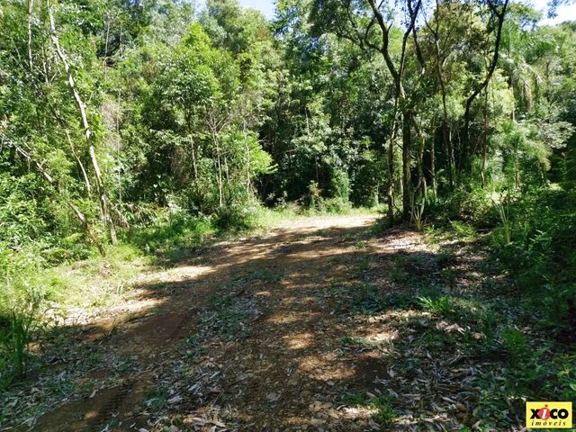 Imagem 3: Sítio / Chácara para Venda em Nova Petrópolis, Linha Imperial