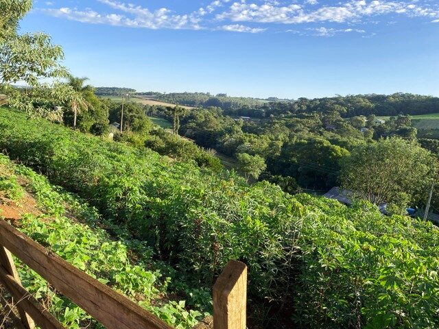 Imagem 2: Area de Terra Localizada na L. Faxinal dos Rosas