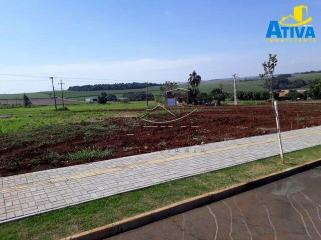 Imagem 6: Nova Concórdia - Lote/Terreno - Nova Concórdia do Oeste