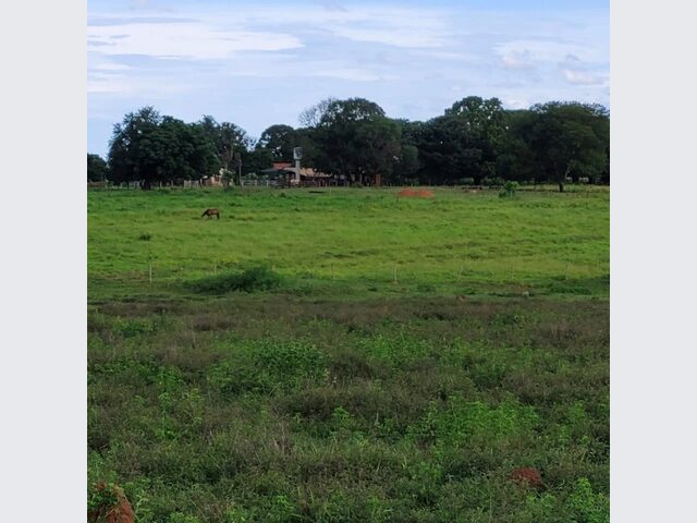 Imagem: A fazenda possui 532.400m² de Área e está localizado em