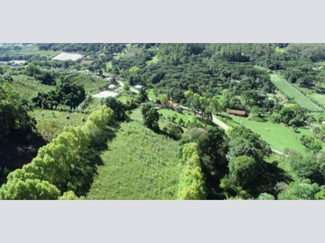 Imagem: Area com 4 Hectares no Vale dos Vinhedos