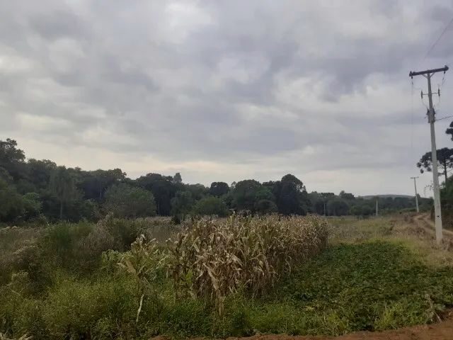 Imagem: Terreno 1 Alqueire para Fazer Chácara 24.200M2