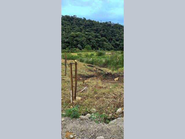 Imagem: Terreno 5X25 Tijuco Preto