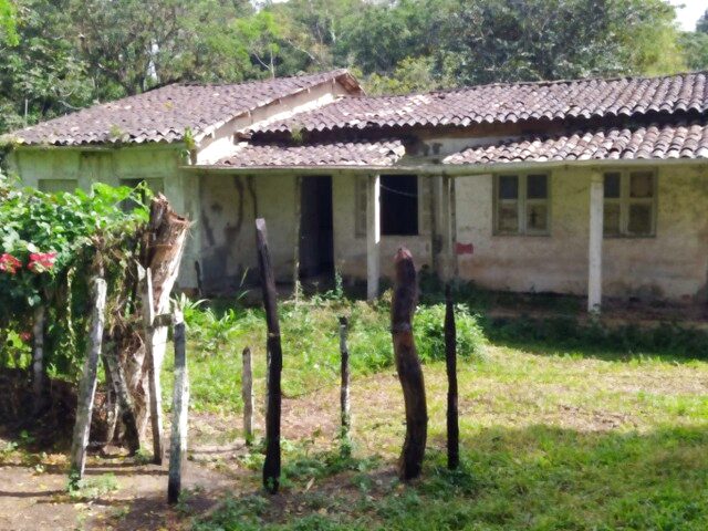 Imagem 9: V) Vendo Sítio em Mutuns - Itabuna -Ba