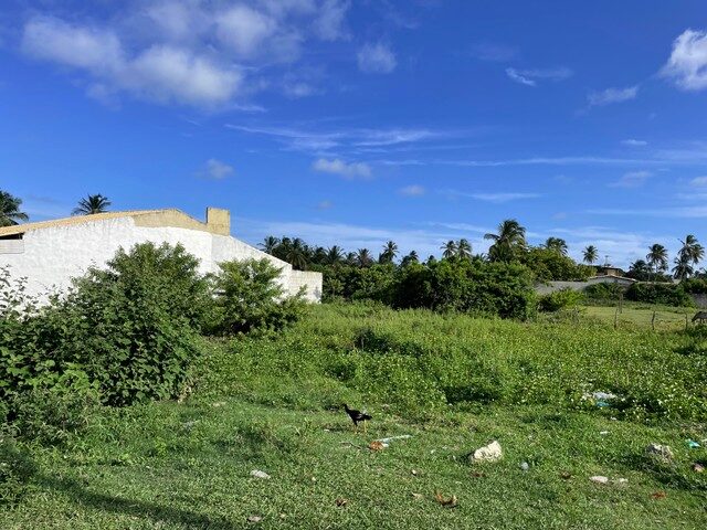 Imagem: Terreno / Sarnei