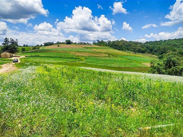 Imagem: O terreno possui 600m² de Área, Imóvel novo e está
