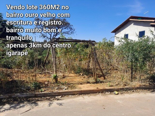 Imagem: Lote Igarape