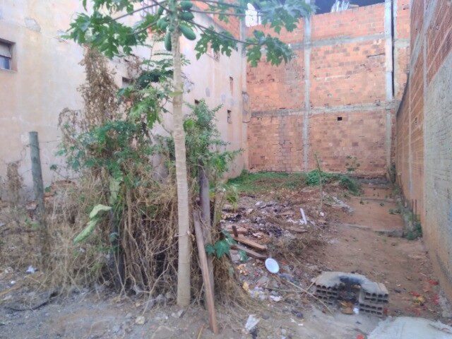 Imagem: Venda