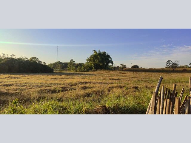 Imagem: Sitio em Dourados 25 Hectares Planta 17